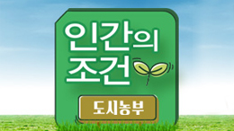 KBS2 <인간의 조건 - 도시농부>